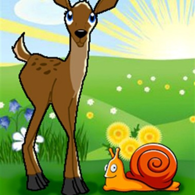 Deer and snail | آهو و حلزون episode artwork