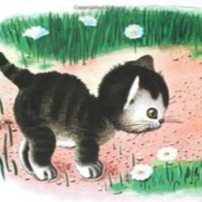Timid little cat | گربه کوچولوی ترسو episode artwork
