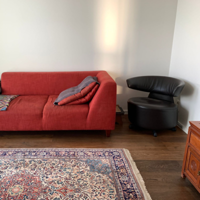 Freudcast #8 - De Vroege Freud