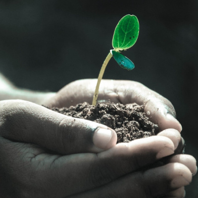 RÉACTIVE TON TALENT - Prédication par Corinne