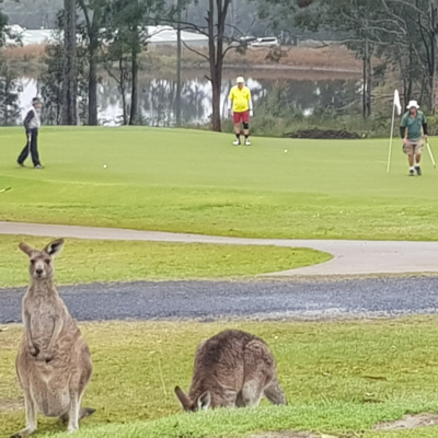 Episode Two: Kangaroo Court