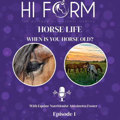 # 1 When is Your Horse Old