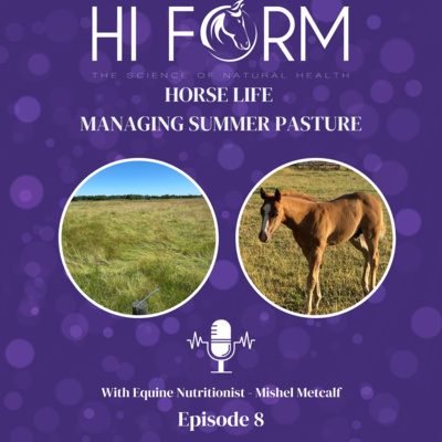#7 Managing Summer Pastures with Mishel Metcalf