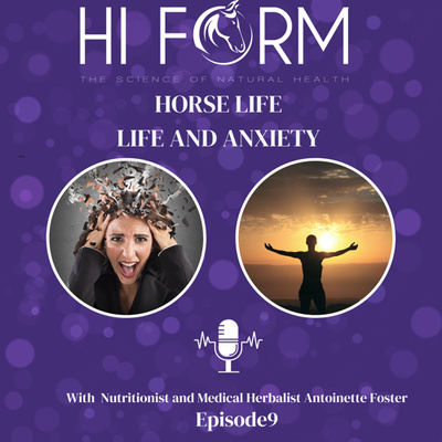 Life and Anxiety 