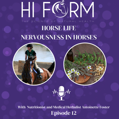 #10 Nervousness in Horses