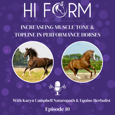 #9 Increasing muscle tone and topline in performance horses