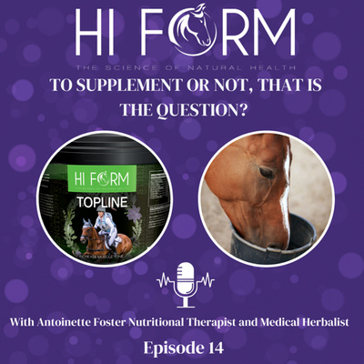 #14 To Supplement or Not that may well be the question? 