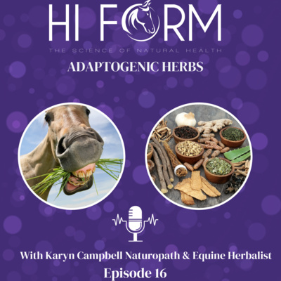 #16 Adaptogenic Herbs
