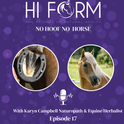 #17 No Hoof No Horse