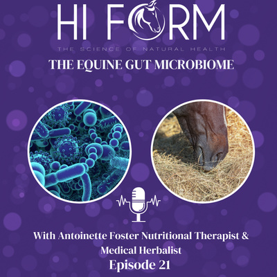 #21 The Equine Gut Microbiome