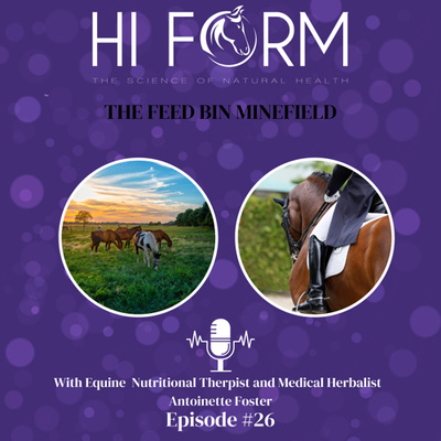 #26The Feed Bin Minefield 