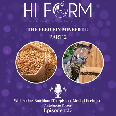#27The Feed Bin Minefield Part 2 