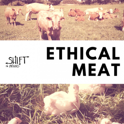 Ethical Meat - Part 1