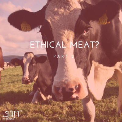 Ethical Meat? - Part 2