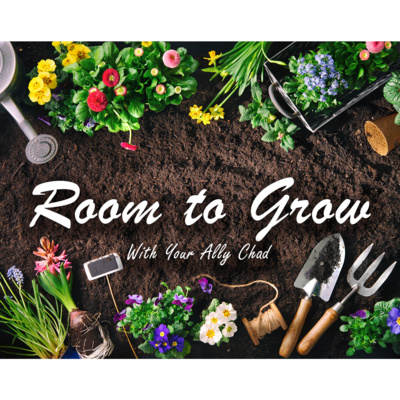 Room To Grow With Your Ally Chad