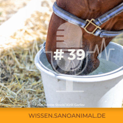 Sanoanimal Podcast #39 - Warum tunken Pferd ihr Heu?