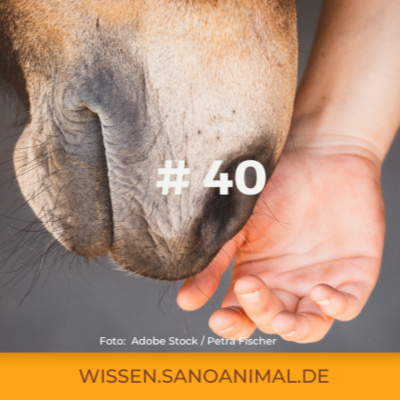 Sanoanimal Podcast #40 - Mineralversorgung für Pferde im Frühjahr