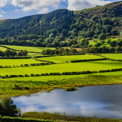 #29 - Welsh Agricultural Policy: Next Steps