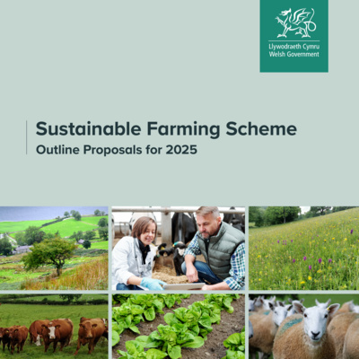 #41 – An outline of the new Sustainable Farming Scheme in Wales #41 – An outline of the new Sustainable Farming Scheme in Wales
