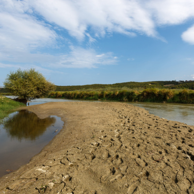 #42 - A view from abroad: what can we learn from the drought in Europe? #42 - A view from abroad: what can we learn from the drought in Europe?
