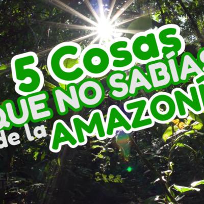 Ep0. Mr Joel - Académico - 5 Cosas que no Sabías de la Amazonía Colombiana