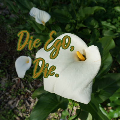 Krishnamurti's "Die to yourself" in Practice (YouTube Audio)