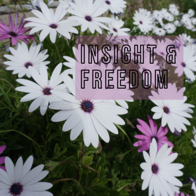 Insight into Your Own Life (YouTube Audio)