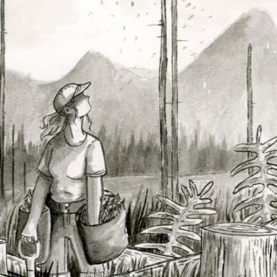 Thoughts From The Block: Planting Amid Covid19