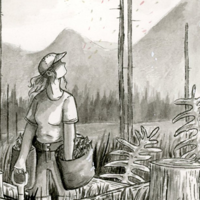 Thoughts From The Block: Old Growth and Big Frozen Trees