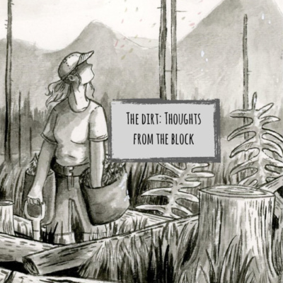 Thoughts From The Block: The Flow State
