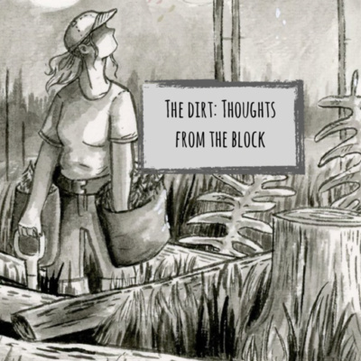 Thoughts From The Block: Returning To The Real World
