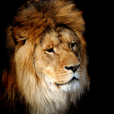 Self-Discipline, Leadership, and Time Management, Guest Starring Kirk Carter: Cyberwarfare Expert