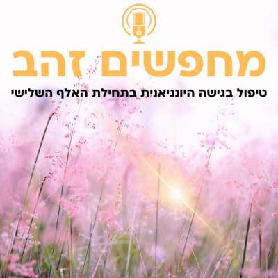פרק 11 וחצי: מה בין טיפול למפגש עם מורה רוחני