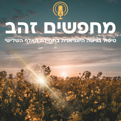 פרק ארבע ורבע: החלום של זיו - הרובד האישי