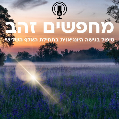 פרק ארבע וחצי: החלום של זיו - הצד של המטפל