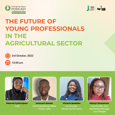 Currently playing episode