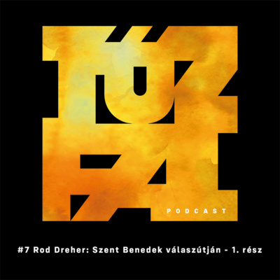 Currently playing episode