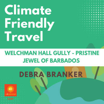Climate Friendly Travel