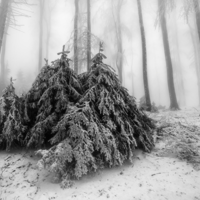 Three winter storms in eight days for Connecticut | Ep. 168 episode artwork