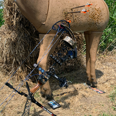 Off-Season Whiteatail Strategies