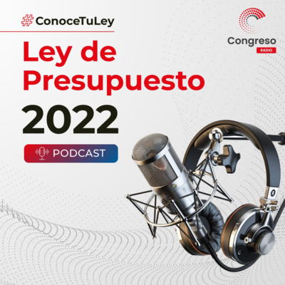 T01E01 Conoce Tu Ley - Ley De Presupuesto 2022