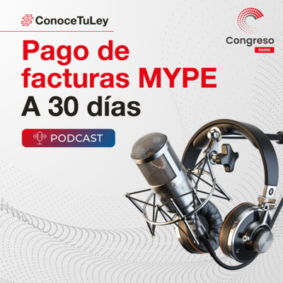 T01E02 Conoce Tu Ley - Facturas Mype a 30 días