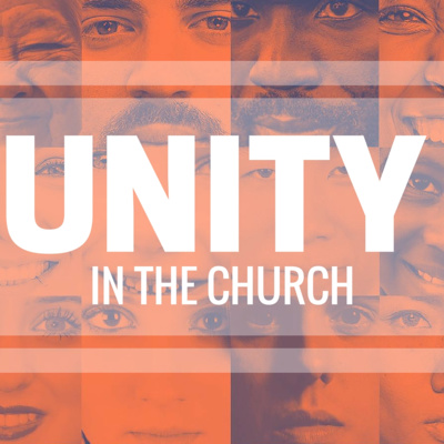 Christ's Call For Unity episode artwork