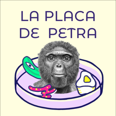 La Placa de Petra