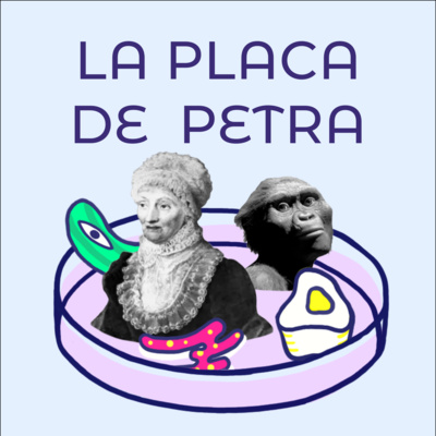 La Placa de Petra