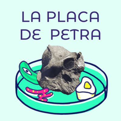 La Placa de Petra