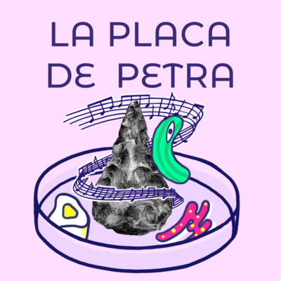 La Placa de Petra