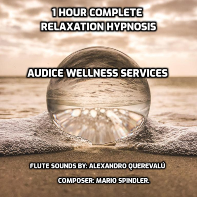 Audice Wellness Services