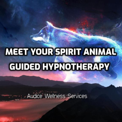 Audice Wellness Services