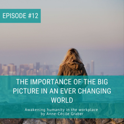 The importance of the big picture in an ever changing world [Episode 12]